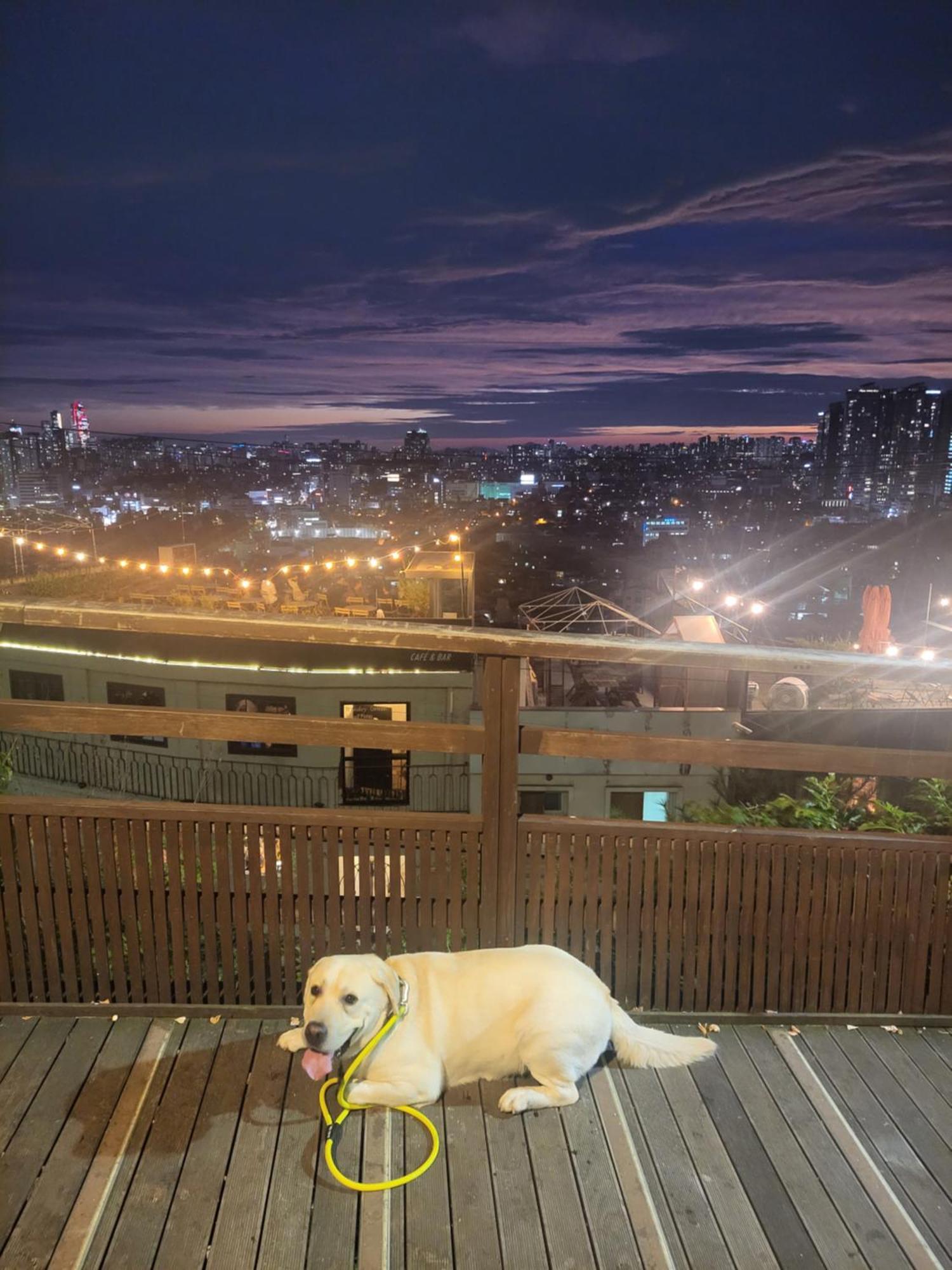Newly Renovated 2 Bedroom Apartment #7 Seoul Exterior foto