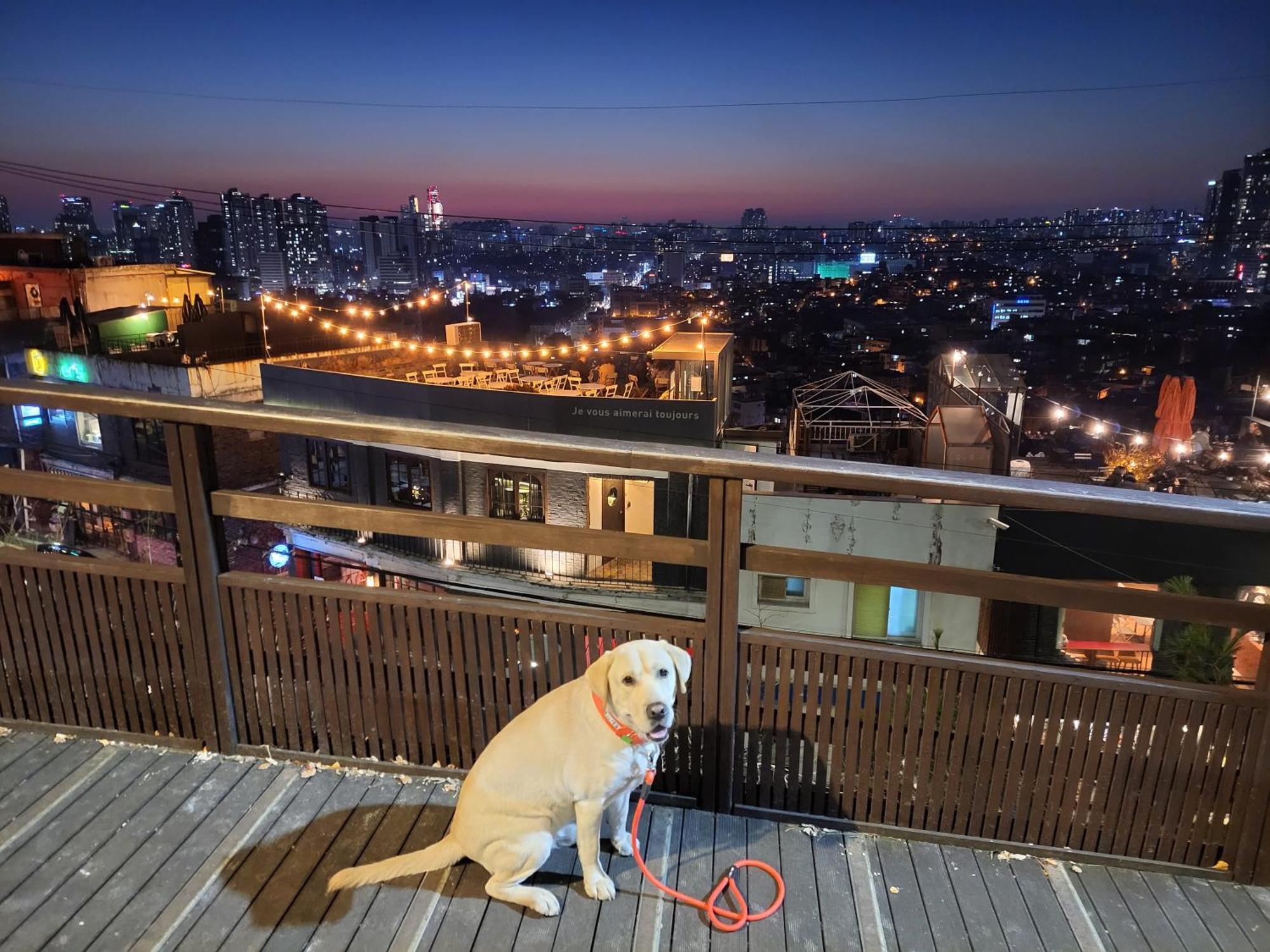 Newly Renovated 2 Bedroom Apartment #7 Seoul Exterior foto