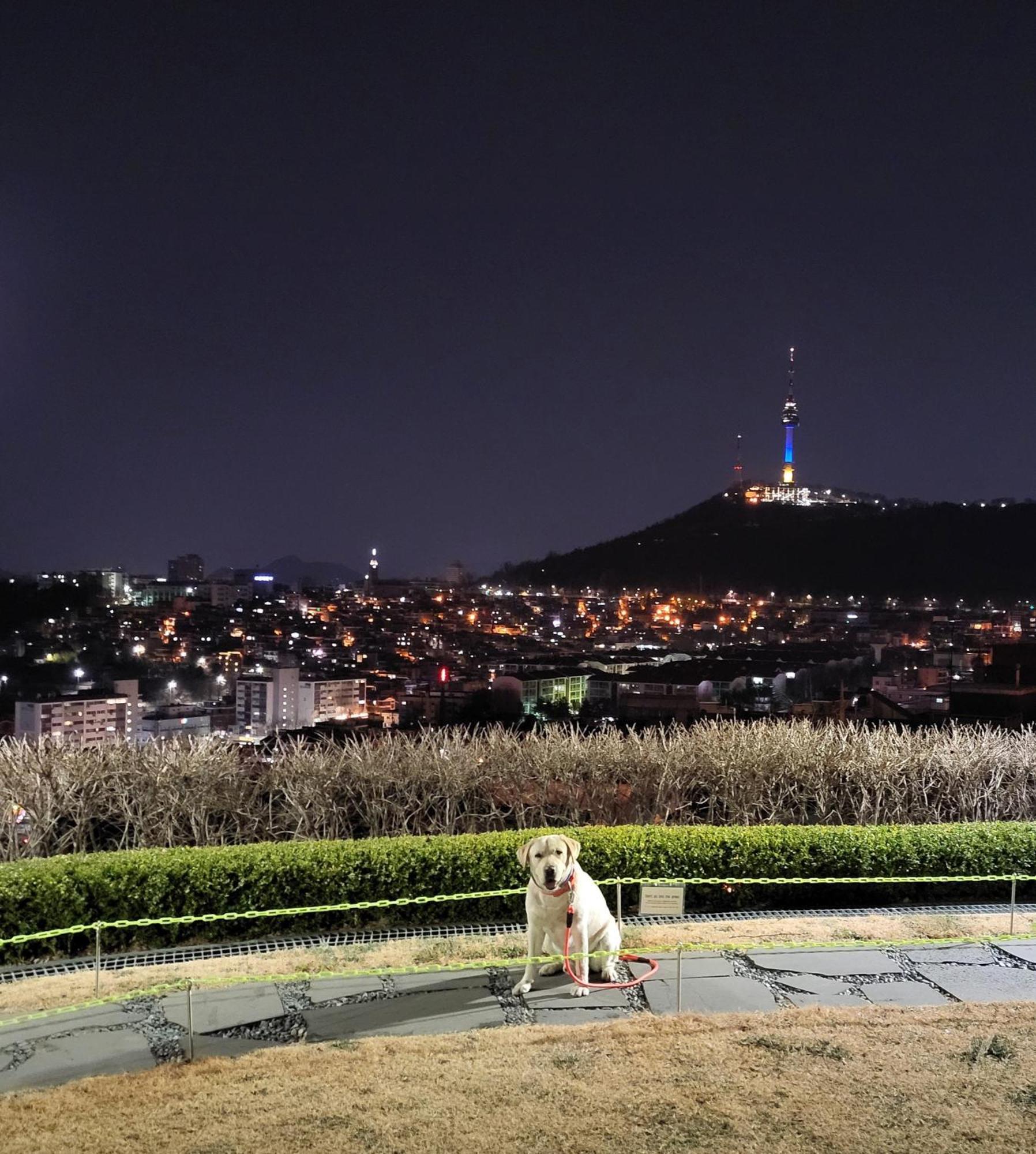 Newly Renovated 2 Bedroom Apartment #7 Seoul Exterior foto